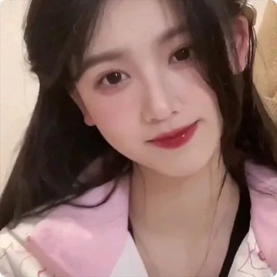 美国豚鼠