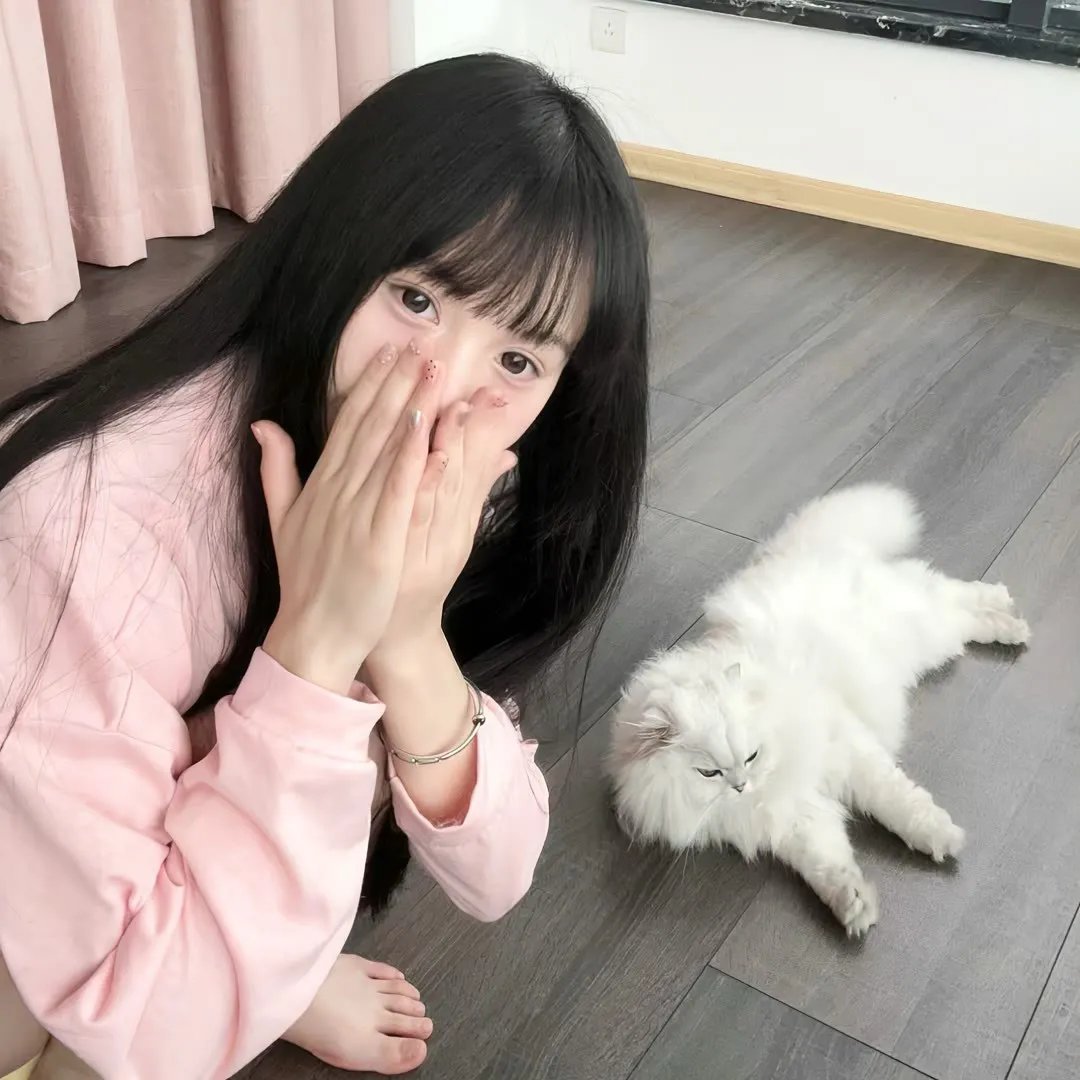 天作之盒